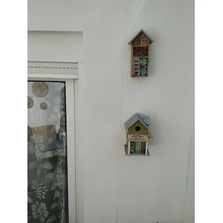Holiday Waldblick Apartment